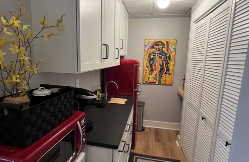 Dallas Apartment | Stylish 1-bedroom private entrance to basement apt with pool access