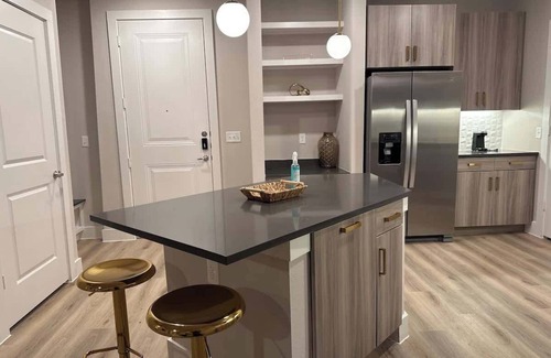 McNeil Apartment | Stylish 1BR Pool & Gym ATX