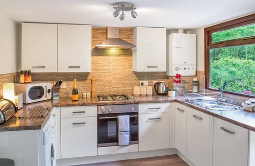 Caerwys Ski Chalet | Stylish and compact lodge with one double with en suite W.