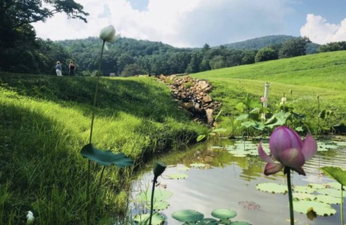 Asheville House | Stylish Farmhouse w/Pond! Enjoy Nature While Being Close to Downtown