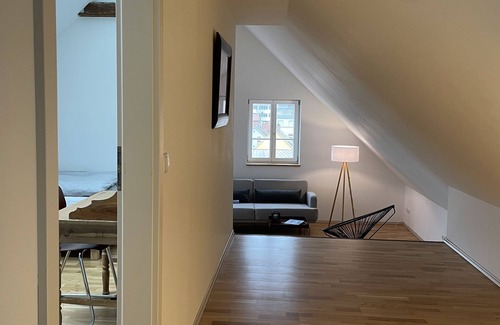 Mainz-Bingen Apartment | stylish ma