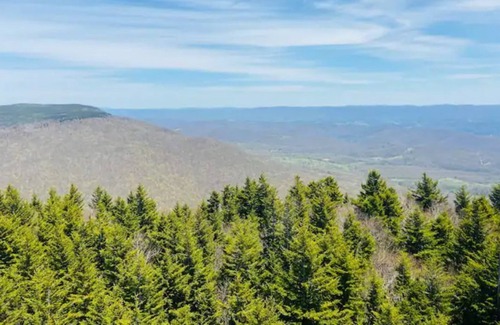 Snowshoe Condo | Stylish Ski in/out 2BR/2BA Shamrock Condo