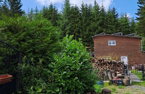 Rendeux House | Sublime forêt