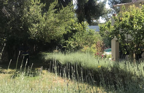 Palaio Psychiko Villa | Suburban Villa with Pool&Garden