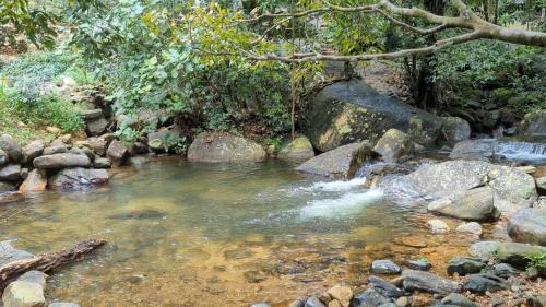 Kuruwita Other | Sudagala Jungle Glamping