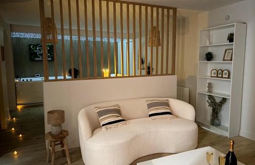 Saint-Aubin-d'Aubigne Apartment | Suite Banjar-Luxe,Balnéo & Sauna