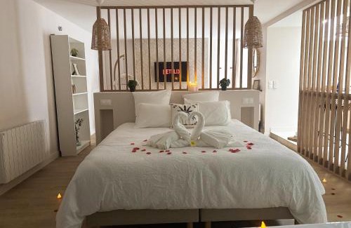 Saint-Aubin-d'Aubigne Apartment | Suite Banjar-Luxe,Balnéo & Sauna