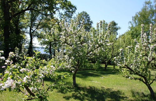 Bad Saarow Apartment | Suite directly on the lake, very private - Ferienhof Löschebrand