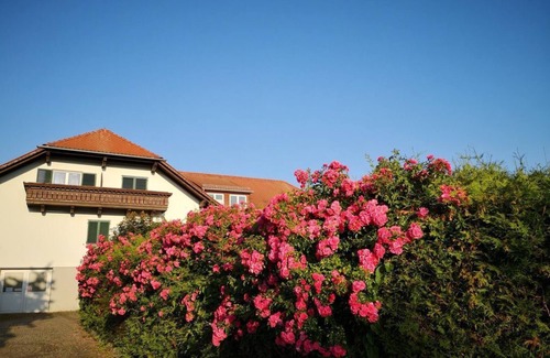 Bad Waltersdorf Apartment | Suite mit Dusche, WC & Terrasse Gartenseitig - Apartments Goldener Hahn
