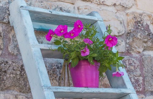 Martina Franca House | Suite Trulli Olive Trees