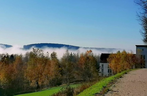 Neualbenreuth Apartment | Suite with double bed