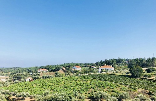 Proenca-a-Nova House | Suites Do Pinhal - Double Room 2