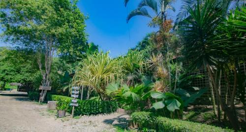 Ayampe Hotel | Suites La Tortuga