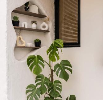 Malioboro House | Sukhayana Stay Malioboro