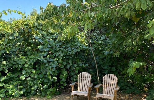 Saint-Marine House | Summer house in the heart of Sainte-Marine