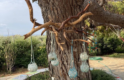 Kalivia Poliyirou House | Summer house surrounded by olive trees Halkidiki