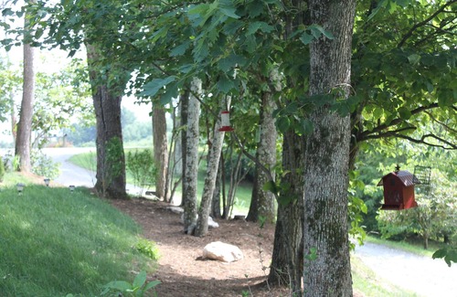 Deep Gap Cottage | SUMMER SPECIAL PRIVATE & PEACEFUL IN HIGH COUNTRY MOUNTAINS 4TH NIGHT @ 25% off