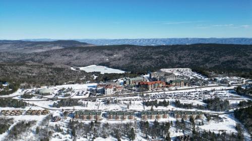 Snowshoe Apartment | Summit205C Across From Village Sleep 10 VIEWS WiFi Fireplace