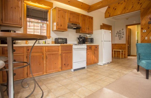 Amherst Apartment | Sun filled pool house with vaulted ceilings beautiful in ground pool and gardens
