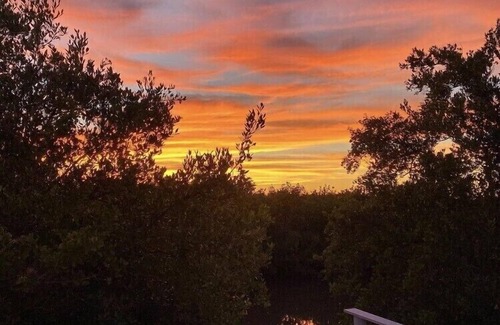 New Smyrna Beach Apartment | Sun Surf Shell Repeat.n99 Steps to Ocean!nPrivate, Serene Special 6 month rate.