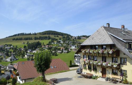Todtnauberg Apartment | Sunmattehof