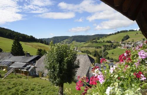 Todtnauberg Apartment | Sunmattehof