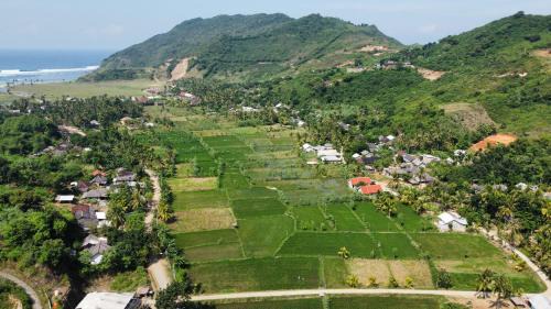 Kuta House | Sunny Bungalows Areguling