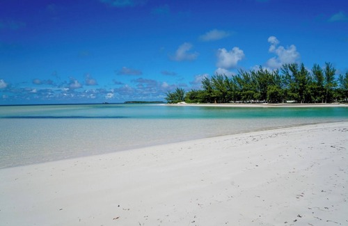Spanish Wells Apartment | Sunny Daze, 1 bed 1 bath with beach access