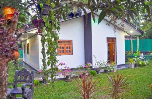 Tangalle Apartment | Sunny Homestay