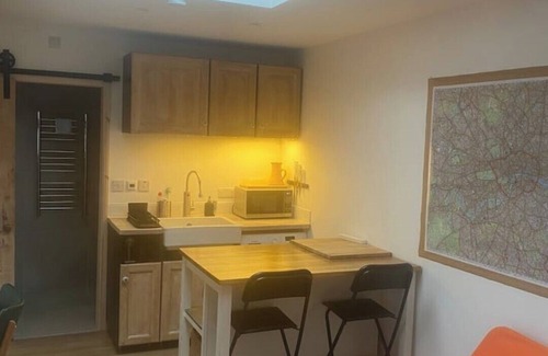 Streatham Apartment | Sunny south facing, cute garden studio with own private patio, South London