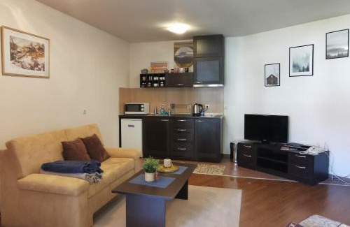 Shiligarnika Apartment | Sunny studio apartment - few steps from Gondola