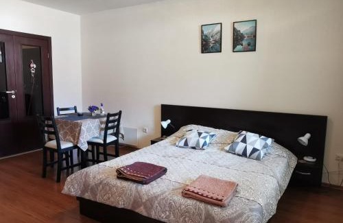 Shiligarnika Apartment | Sunny studio apartment - few steps from Gondola