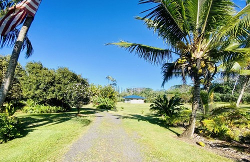 Kapoho Apartment | Sunrise Suite - Oceanfront lodging