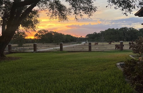 Bryan House | Sunset Farm in Aggieland - Country Life 15 miles from Kyle Field - up to 14 ppl