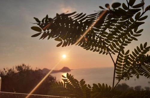 Labuan Bajo Hotel | Sunset Hill Hotel