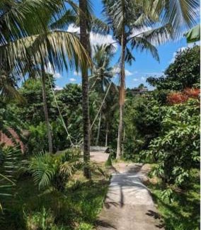 Sambahan Villa | Sunset Jungle Villa by Rare Angon Ubud