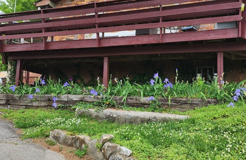 Hillwood Apartment | Sunset Shanty 1-bedroom duplex in West Nashville (420 friendly)