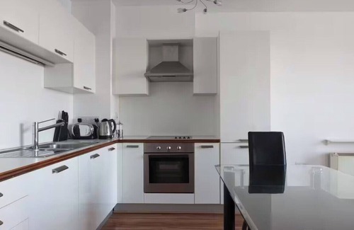 Grand Canal Dock Apartment | Super Grand Water Front View 2 Beds/2 Baths