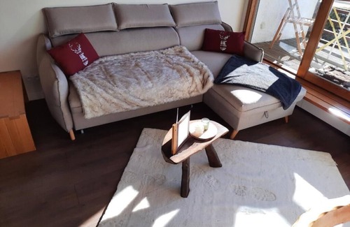 Saint-Etienne-de-Tinee Apartment | Superbe 2 pcs Cabine Terrasse vue Féérique Pistes