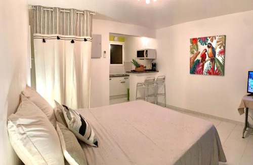 Sainte-Anne Apartment | Superbe Studio Ultra COSY à 2 min de la PLAGE