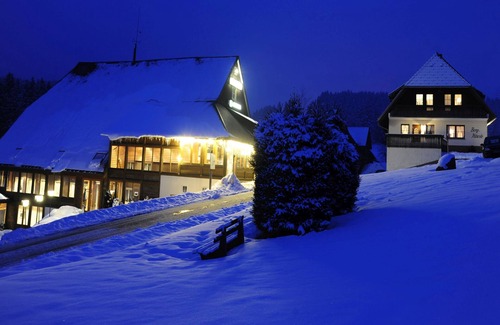 Furtwangen Apartment | Superior double room with balcony