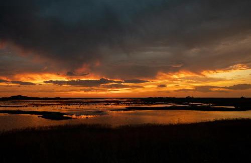 Ballstad Apartment | Superior Ocean View Lofoten