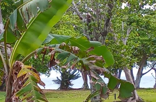 Port Vila Apartment | Surf 1 and Surf 2