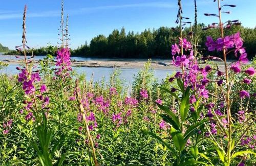 Talkeetna Cabin | Susitna River Lodging, Suites