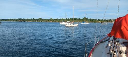 Bocas del Toro Boat Rental | Sv Lukas