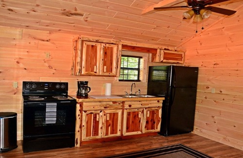 Buchanan House | Swan Bay Cabins & RV Park Cabin#(4) Paris Tn, Kentucky Lake