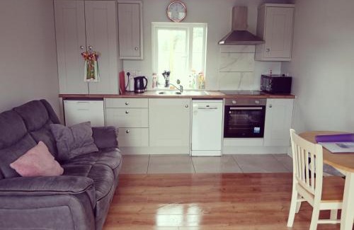 Lisdoonvarna Apartment | Swan Studio Haven