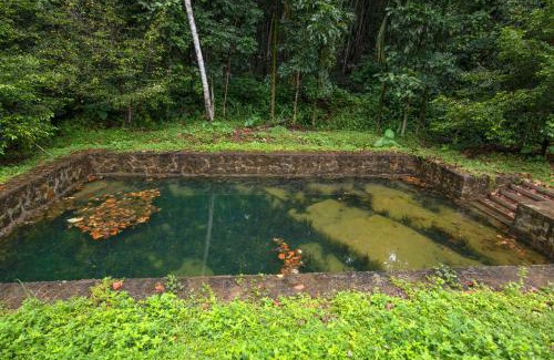 Kanjirappally House | Swasthi Serviced Villa