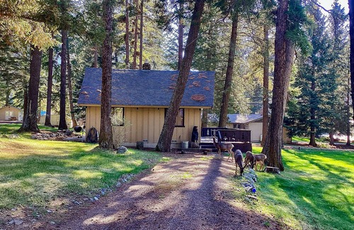Joseph House | Sweet alpine cabin with mountain views & fireplace - walk to tram & Wallowa Lake