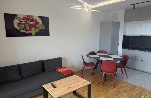 Lodz Apartment | Sweet Harmony- 2-bedroom apartment in fantastic Łódź with AC, WiFi